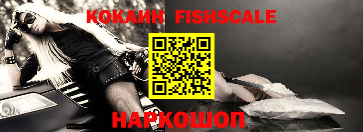Кокаин Fish Scale  КОКАИН  купить закладку  Выкса 