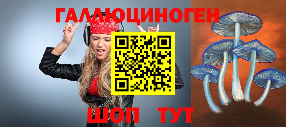 Псилоцибиновые грибы Cubensis  Выкса  Галлюциногенные грибы мицелий 