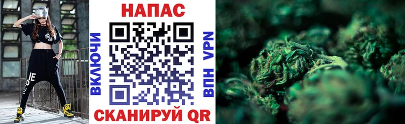 Бошки Шишки индика  omg tor  Выкса 